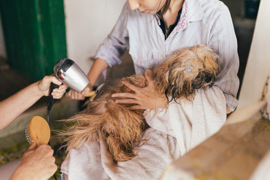 Veterinario revisando un perro con una familia feliz