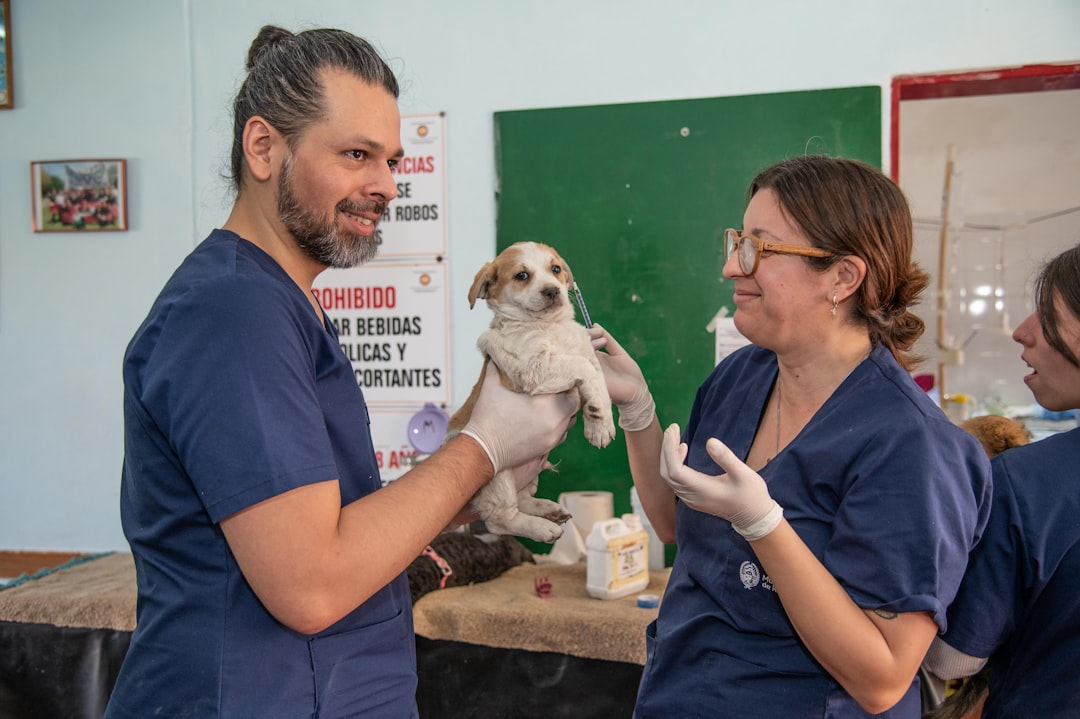Perro feliz en el veterinario